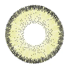 Hoa văn áp tròng Clalen Vuticle màu Golden Yellow