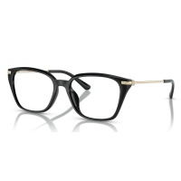 Gọng kính MICHAEL KORS 4133D 3005 54