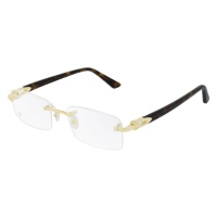 Gọng kính Cartier CT0287O-006