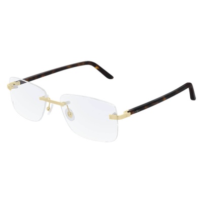 Gọng kính Cartier CT0216OA 003