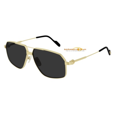 Kính mát Cartier CT0270S 001 61
