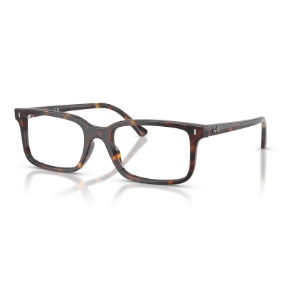 Gọng kính RAY-BAN 5445F 2012 54