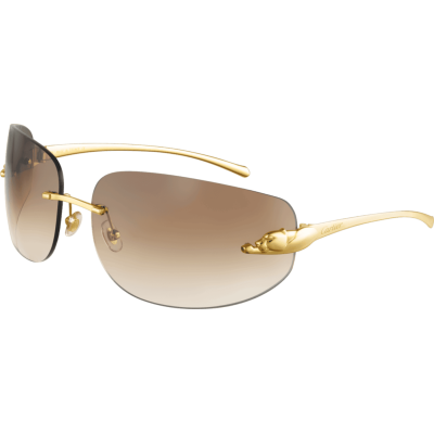 Kính mát Cartier T8200811