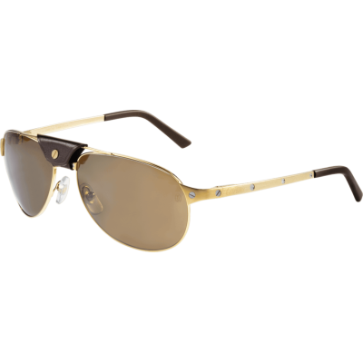 Kính mát Cartier T8200888