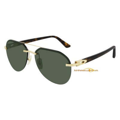 Kính mát Cartier CT0275S 006