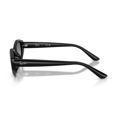 Kính mát RAY-BAN 4473D 667711 56