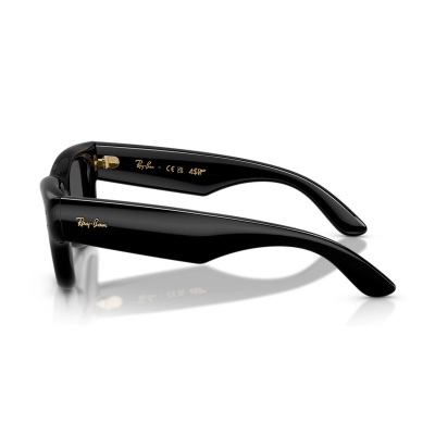 Kính mát RAY-BAN 4940 601/87 47