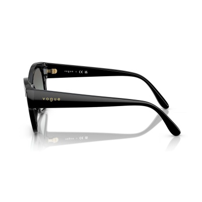 Kính mát VOGUE 5638SU W44/11 55