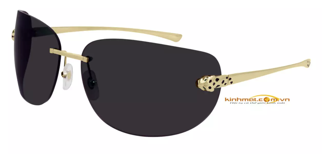 Kính mát Cartier CT0266S 001 đầu báo