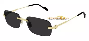 Kính mát Cartier CT0271S 001