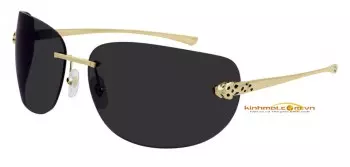 Kính mát Cartier CT0266S 001 đầu báo