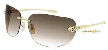 Kính mát Cartier CT0266S 004 đầu báo