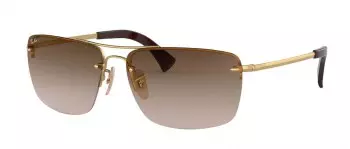 Kính mát Ray-Ban 3607 001/13