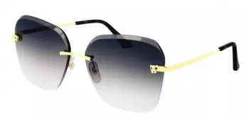 Kính mát Cartier CT0147S 002