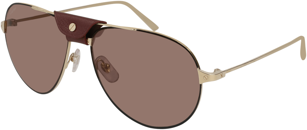 Kính mát Cartier Santos CT0038S 006