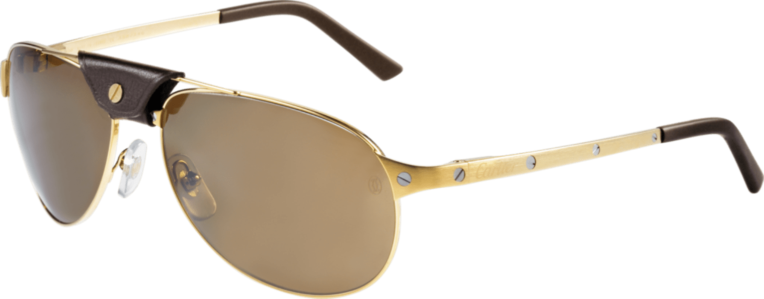 Kính mát Cartier T8200888