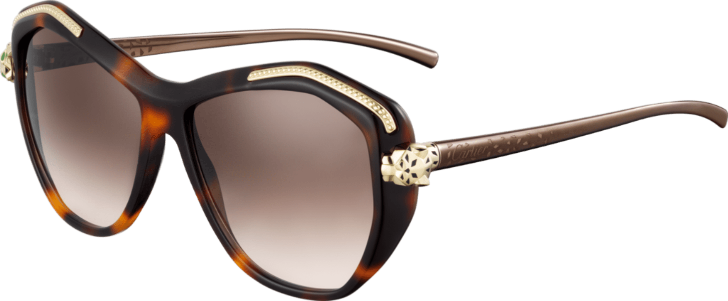 Kính mát Cartier T8201076